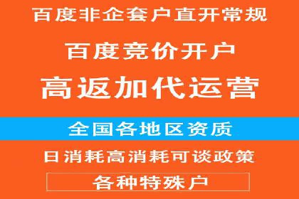如何利用百度竞价代理：真实案例分析